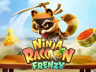 NinjaRaccoonFrenzy.webp