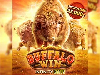 bufallo-win.webp