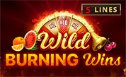 Burning-Wins-.webp
