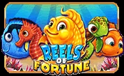 Reels-Of-Fortune.webp